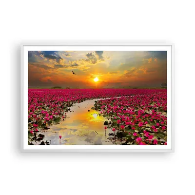Produktbild von Gerahmtes Poster - Weißer Rahmen - See Blumen - 100x70 cm - Wand Bild - Wanddeko - Wandbilder - Kunstposter - Wandposter - Bilderrahmen - Bilder - Kunstdruck - Wandbild - P2WAA100x70-3769