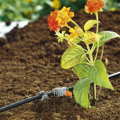 Immagine prodotto di Gardena, Gocciolatore di fila 2l/h10pz, Micro-Drip-System
