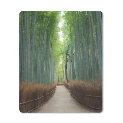 Produktbild von MuchoWow® Mauspad Mousepad Bambus - Weg - Wald 30x40 cm - Mousepads - Maus Mat - Pad - Mausunterlage - Mausmatten