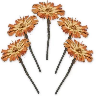 Image de Buissons de sucre Protea Set de 5 fleurs séchées nature clair blanchi 20 - 30 cm, Image générée par une IA