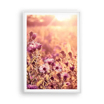 Produktbild von Gerahmtes Poster - Weißer Rahmen - Wiese Blumen Sonne - 70x100 cm - Wand Bild - Wanddeko - Wandbilder - Kunstposter - Wandposter - Bilderrahmen - Bilder - Kunstdruck - P2WPA70x100-4819