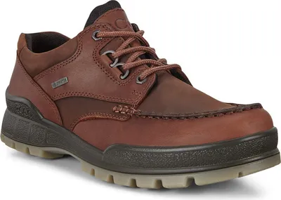Produktbild von Ecco Track 25 Niedrig GTX Bison Maat 49