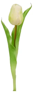 Produktbild von Kunstpflanze Tulpe - H 31 cm - Grün - Weiß - Kunststoff