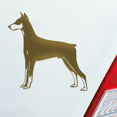Produktbild von Auto Aufkleber Dobermann Hund Dog Animal Tier 10x10 cm Gold Sticker Heckscheibenaufkleber