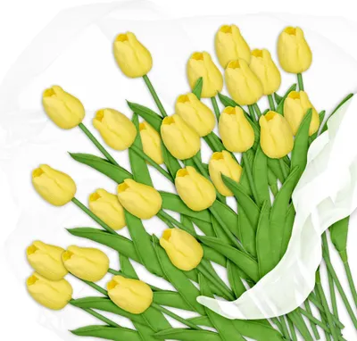 Image de Tulipes artificielles, paquet de 24