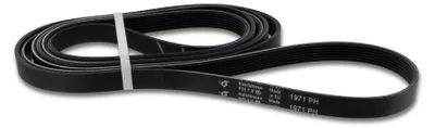 Productafbeelding van V-riem 7PH 1971 voor droger wasdroger