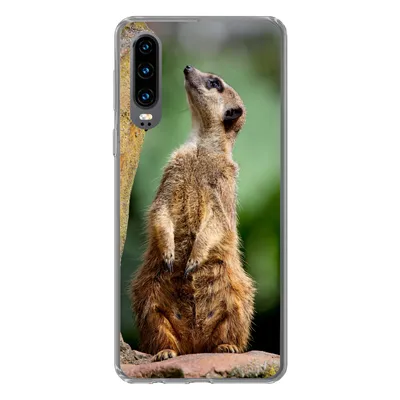 Produktbild von MuchoWow® Handyhülle Schutzhülle Hülle für Huawei P30 Erdmännchen - Tier - Rock Silikon Softcase Handy Hülle - Kartenbesitzer