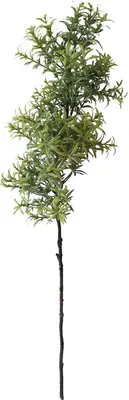 Produktbild von Rosmarinzweig 60 cm Kunstpflanze Flora