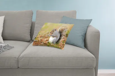 Produktbild von MuchoWow® Zierkissen Sofakissen Wohnzimmer Dekokissen 60x40 cm Eichhörnchen mit Erdnuss - Kopfkissen - Polster mit Foto