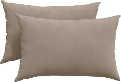 Obrázok produktu pre vidaXL Vankúše na pohovku, 2 ks, farba taupe, 60 x 40 cm, látka