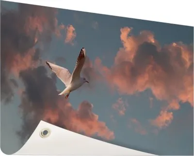 Produktbild von Gartenposter - 120x80 cm - Möwe bei Sonnenuntergang  - Modernes Wandbilder