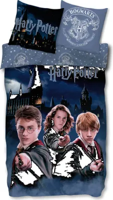 Produktbild von Skybrands Harry Potter Bettwäsche 135x200 cm + 80x80 cm Kissenbezug – Hogwarts Motiv mit Harry, Hermine & Ron – 100% Baumwolle, Standard – inkl. praktischem Tragebeutel