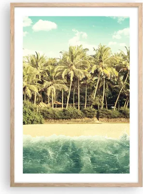 Produktbild von Gerahmtes Poster - Rahmen in heller Eiche - Natur Strand Palmen - 50x70 cm - Wand Bild - Wanddeko - Wandbilder - Kunstposter - Wandposter - Bilderrahmen - Bilder - Kunstdruck - P2NPA50x70-4915