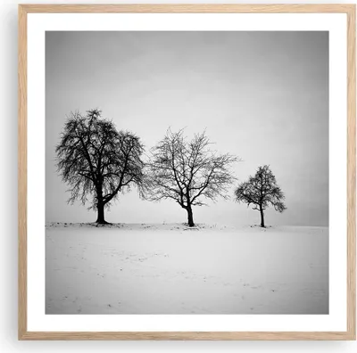 Produktbild von Gerahmtes Poster - Rahmen in heller Eiche - Winter Bäume Schnee - 60x60 cm - Wand Bild - Wanddeko - Wandbilder - Kunstposter - Wandposter - Bilderrahmen - Bilder - Kunstdruck - P2NAC60x60-4958