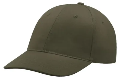 Image de Casquette de baseball Atlantis à 6 panneaux LT883 (taille unique) (olive)
