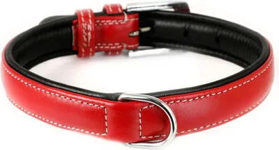 Produktbild von Monkimau Hundehalsband aus Leder Halsband für Hunde Lederhalsband rot gepolstert S-M
