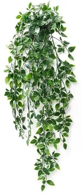Image de Plante artificielle verte de 50 cm, décorative
