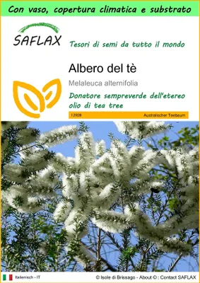 Immagine prodotto di SAFLAX Garden to go - Albero del tè - 400 semi - Melaleuca