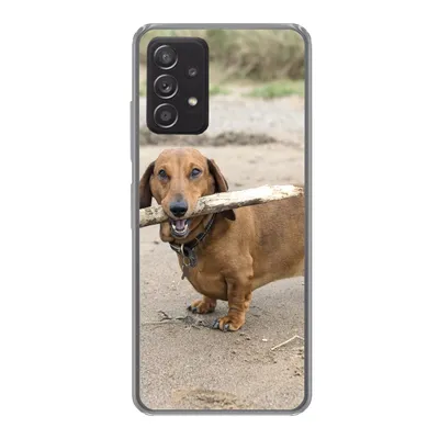 Produktbild von MuchoWow® Handyhülle Schutzhülle Hülle für Samsung galaxy a73 Ein schöner Dackel mit einem Stock im Maul Silikon Softcase Handy Hülle - Handyhülle