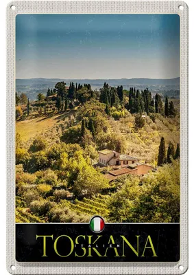 Produktbild von Blechschild Reise 20x30cm Toskana Italien Natur Weinfelder