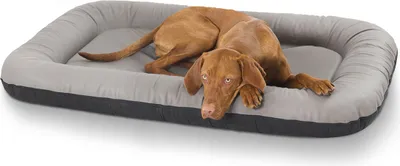 Produktbild von Knuffelwuff Kunstleder Hundebett Jerry XL 92 x 75 Grau