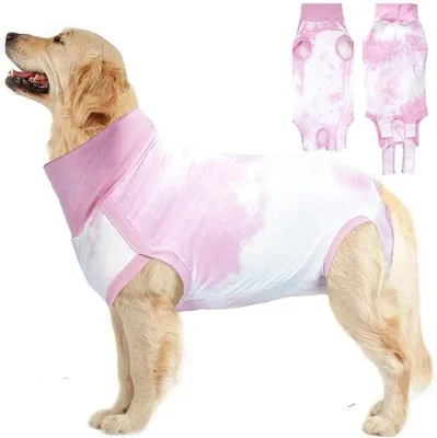 Productafbeelding van Chirurgisch Herstelpak voor Honden voor Spaying en Castratie