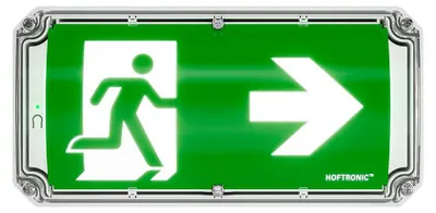 Image de Éclairage de secours LED hoftronic 4,2 W 300 lm IP66 blanc vert