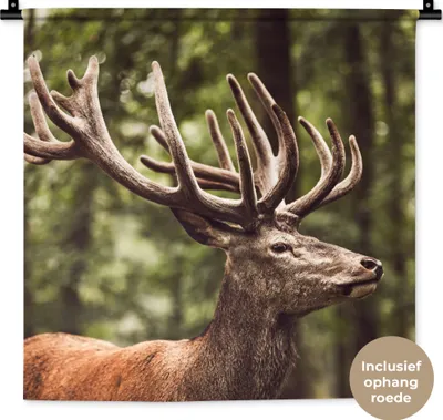 Produktbild von MuchoWow® Wandteppich Wandbehang Hirsch - Natur - Geweih - Wald - Tiere 60x60 cm Tapisserie Dekoration Wandtuch - Dekorationen - Wand Decke
