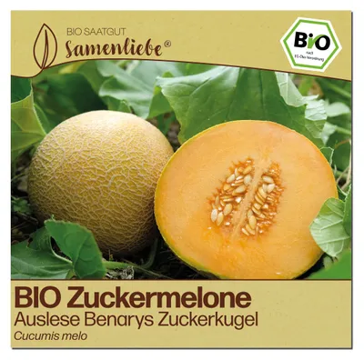 Produktbild von Samenliebe  Melone Samen | Benarys Zuckerkugel - sehr süß & klein - samenfestes  Saatgut