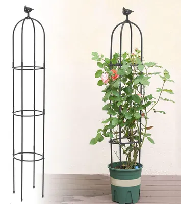 Obrázok produktu pre Kvetináč s mriežkou na popínavé rastliny, výška 180 cm, kovová konštrukcia odolná voči korózii