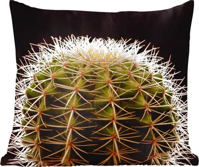 Produktbild von MuchoWow® Zierkissen Sofakissen Wohnzimmer Dekokissen 60x60 cm Eine Nahaufnahme eines dornigen Kaktus auf schwarzem Hintergrund - Sitzfläche - Foto Polster