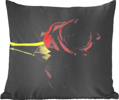 Produktbild von MuchoWow® Zierkissen Sofakissen Wohnzimmer Dekokissen 40x40 cm Rosen - Schwarz - Rot - Foto Kissen - Schlafzimmer Dekoration