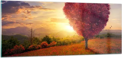 Produktbild von Bilder auf glas - Baum Wiese Blume - 100x40cm - Glasbilder - Wandbilder - Kunstdruck - zum Aufhängen bereit - Wanddekoration aus Glas - Glas Bilder - Wandbild auf Glas - Einteilig - GAB100x40-3790