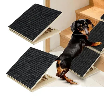 Hundetreppe 2 Stufen, Antirutsch, verstellbar, für kleine/mittelgroße Haustiere