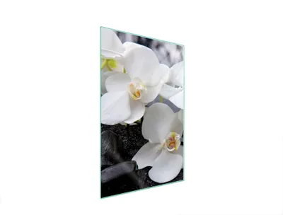 Produktbild von Herdabdeckplatte 35x52 Glaskeramikkochfeld Abdeckung Spritzschutz Glasplatte Deko Schneidebrett Orchidee Weiß