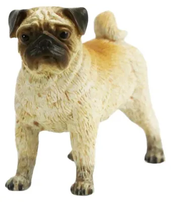 Zdjęcie produktu dla Safari Ltd 103540 Mops 6 cm psy i koty
