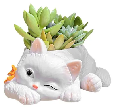 Produktbild von Omgoods - Blumentopf für Sukkulenten, 14 cm