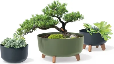 Immagine prodotto di Gracia Vaso basso con gambe bianche DGRL400L-S449
