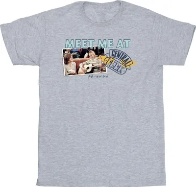 Produktbild von Friends - "Meet Me At Central Perk" T-Shirt für Herren BI26744 (S) (Grau)