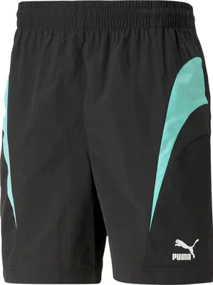 Produktbild von Shorts Puma 538241-01 für Unisex