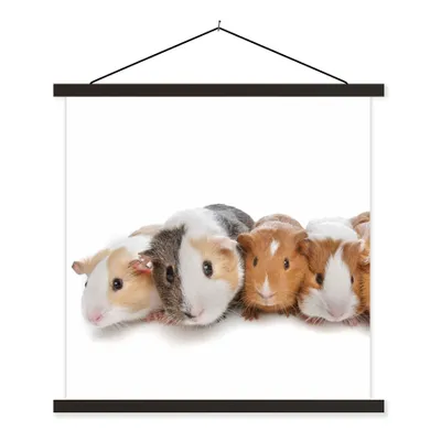 Produktbild von MuchoWow® Textilposter Fünf Meerschweinchen 90x90 cm mit schwarzem Rahmen - Magnetisches