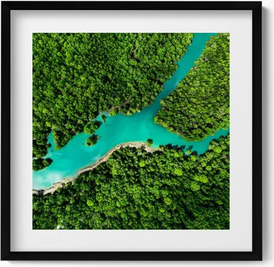 Produktbild von Vogelperspektive auf einen Fluss in einem tropischen Wald– Wandbild mit Rahmen – Gerahmtes Bild  – Wanddekoration – 50x50 cm –  Schwarz Rahmen