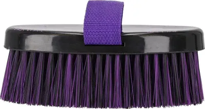 Immagine prodotto di Spazzola per toelettatura QHP Lize nero viola