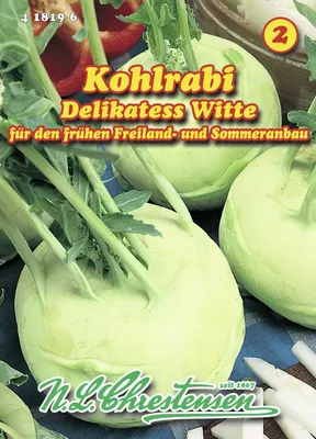 Artikelbild 1 von 'Kohlrabi Delikates Weißer' aus der Kategorie Kohlrabisamen