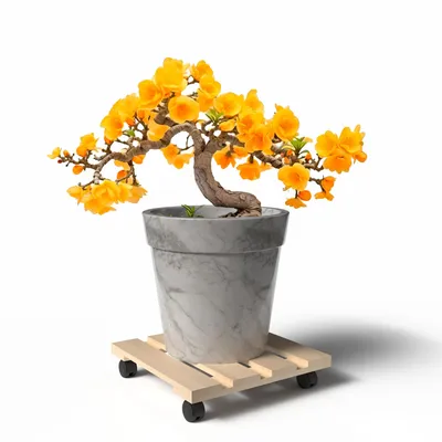Produktbild von BigDean Pflanzenroller Holz Eckig 30 cm - 120 Kg belastbar Rolluntersetzer aus Buchenholz Indoor & Outdoor Blumentopf Untersetzer mit Rollen