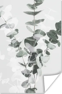 Produktbild von MuchoWow® Poster Pflanzen - Grün - Natur - Blätter 40x60 cm - Plakate für die Wand - Poster Babyzimmer