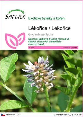 Obrázek produktu pro SAFLAX - Lékořice / Lékořice - Glycyrrhiza glabra - 30 Semena
