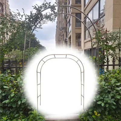 Image de Arche de jardin en métal pour plantes grimpantes et fleurs