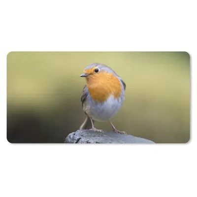 Produktbild von MuchoWow® Mauspad Mousepad Pfahl - Rotkehlchen - Natur 60x30 cm - Mousepads - Maus Mat - Pad - Mausunterlage - Nachhaltig