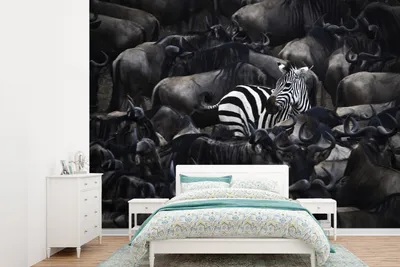 Produktbild von MuchoWow® Fototapete für Wohnzimmer oder Schlafzimmer Wandtapete Vinyl Motivtapete Zebra - Tiere - Nahaufnahme - 415x300 cm - Küche